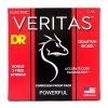 DR VTE 9-46 Veritas